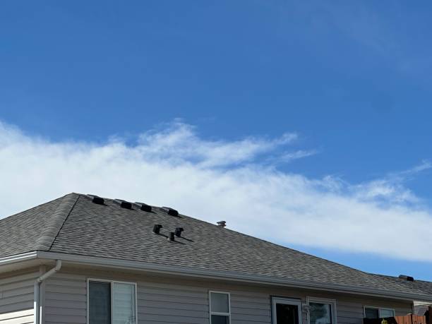 Best Roof Leak Repair  in Tremont, PA